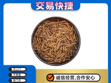 忻州市五台回收散虫草
